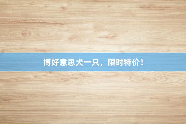 博好意思犬一只,限时特价!