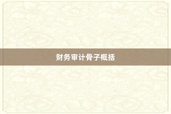 财务审计骨子概括